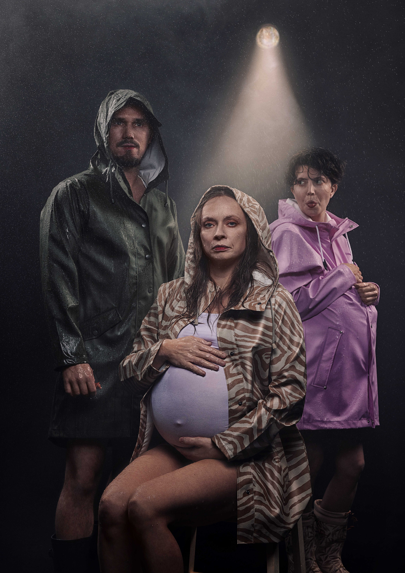 hvor der er fugle plakat uden tekst