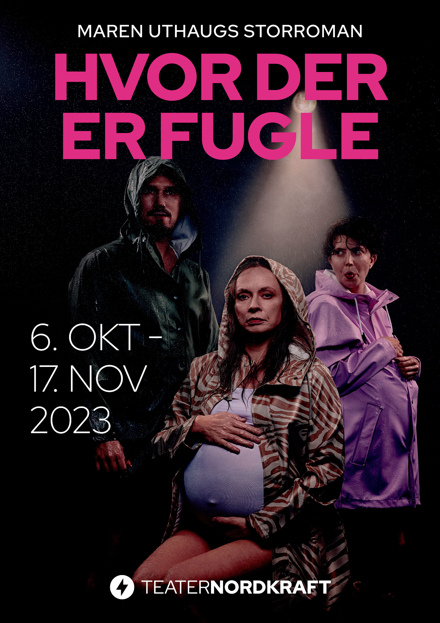 hvor der er fugle plakat